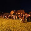 2017 Szent Iván éji tűzgyújtás, Májusfa állítás