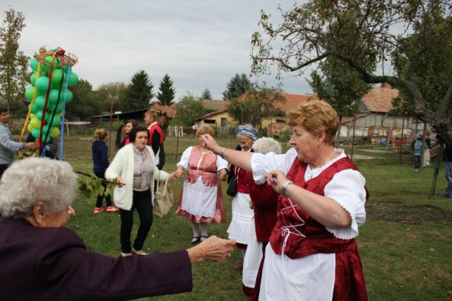 2017 Szüreti felvonulás