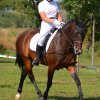 2018- IV.Gulyásfesztivál