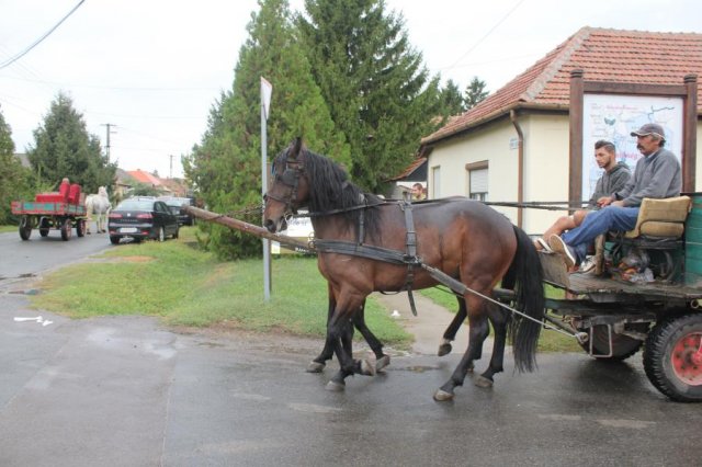 2018-Szüreti felvonulás