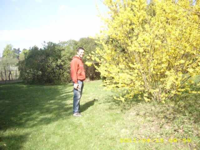 Takarítás 2011