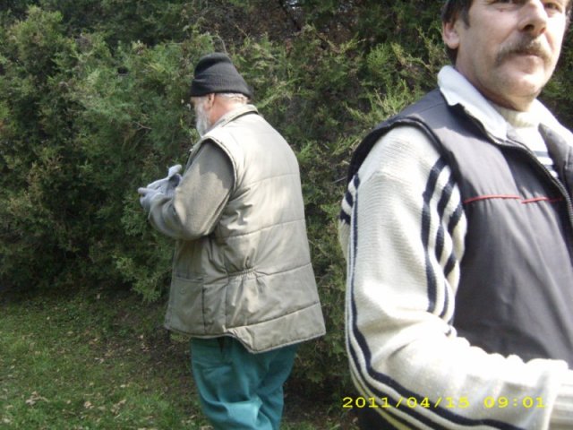 Takarítás 2011