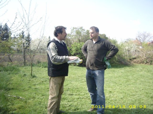 Takarítás 2011