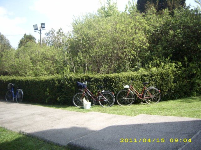 Takarítás 2011