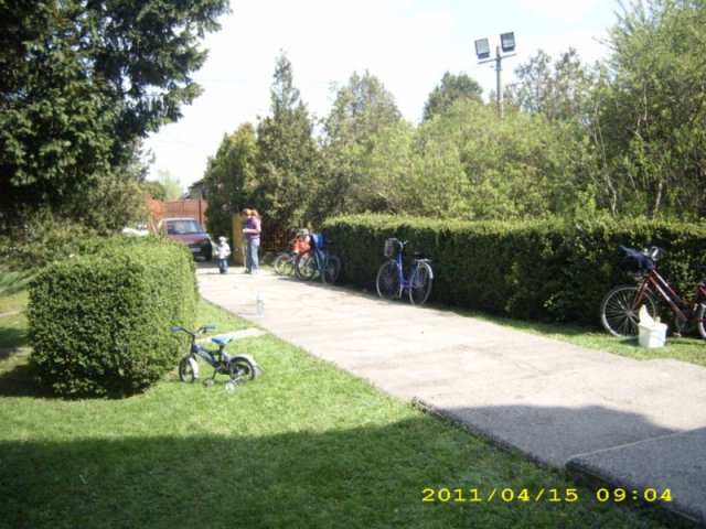 Takarítás 2011