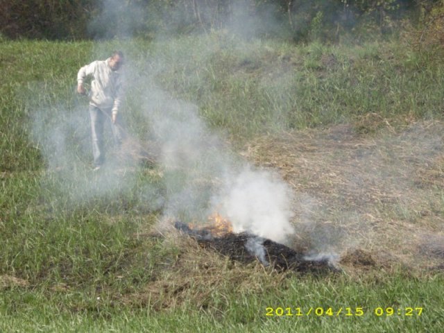 Takarítás 2011