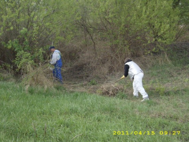 Takarítás 2011