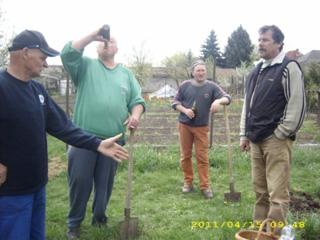 Takarítás 2011