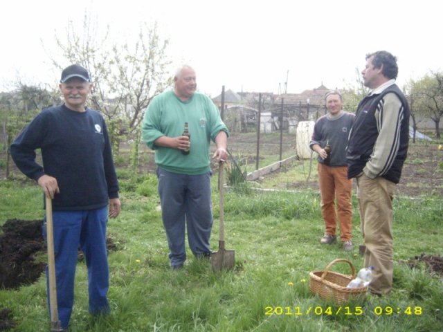 Takarítás 2011