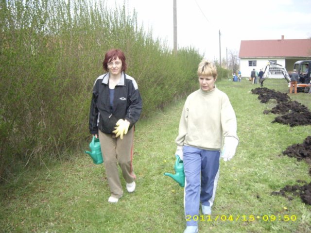 Takarítás 2011