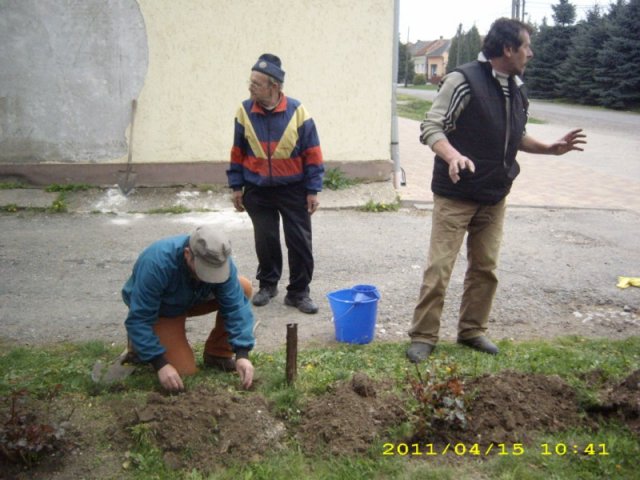 Takarítás 2011