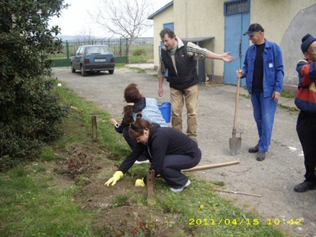Takarítás 2011