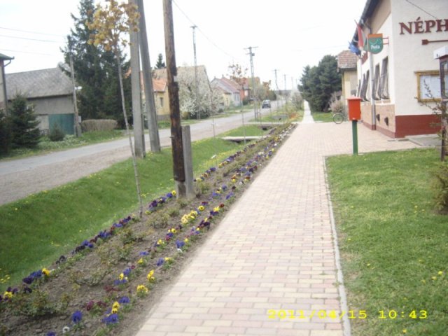 Takarítás 2011
