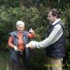 Takarítás 2011