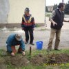 Takarítás 2011