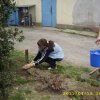 Takarítás 2011