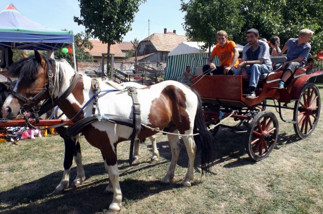 Gulyásfesztivál 2015