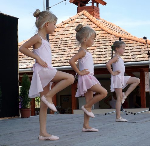 Gulyásfesztivál 2015