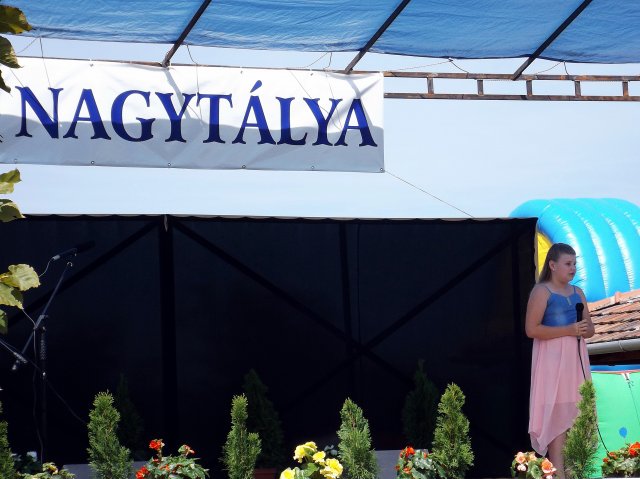 Gulyásfesztivál 2015