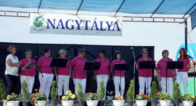 Gulyásfesztivál 2015