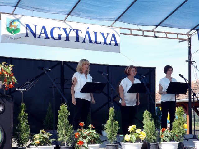 Gulyásfesztivál 2015
