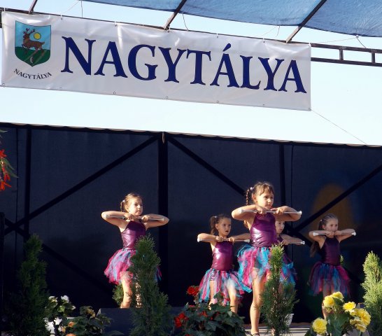 Gulyásfesztivál 2015
